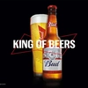 BUD BEACHPARTY