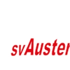 Austerlitz Open 2024