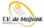 Logo TV de Meijvink (50x50)