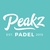 Logo Peakz Padel Zwolle Spoorzone (50x50)