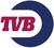 Logo TV Bergenshuizen (50x50)