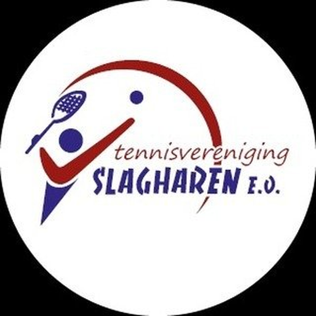 Logo T.V. Slagharen