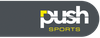Logo Push Sports (100x100)