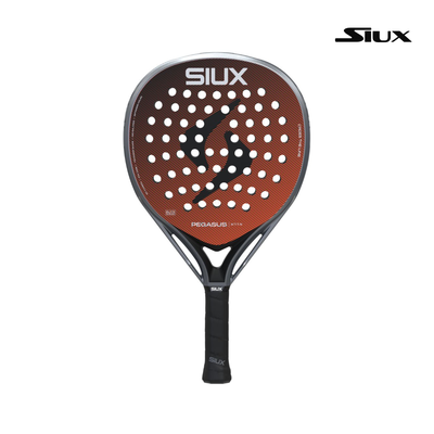 Siux Pegasus Elite 4 2026 afbeelding 1