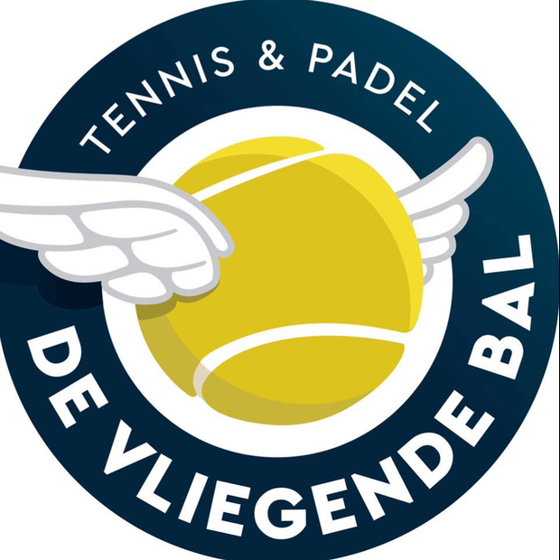 Logo TPV De Vliegende Bal