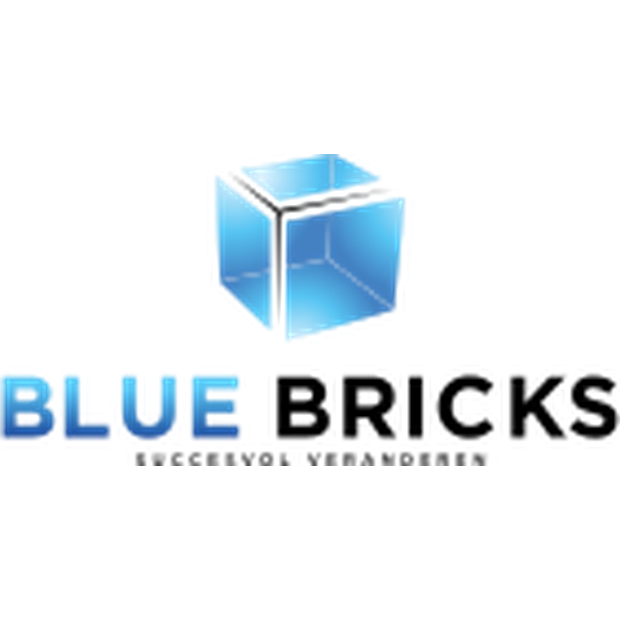 Logo Blue Bricks