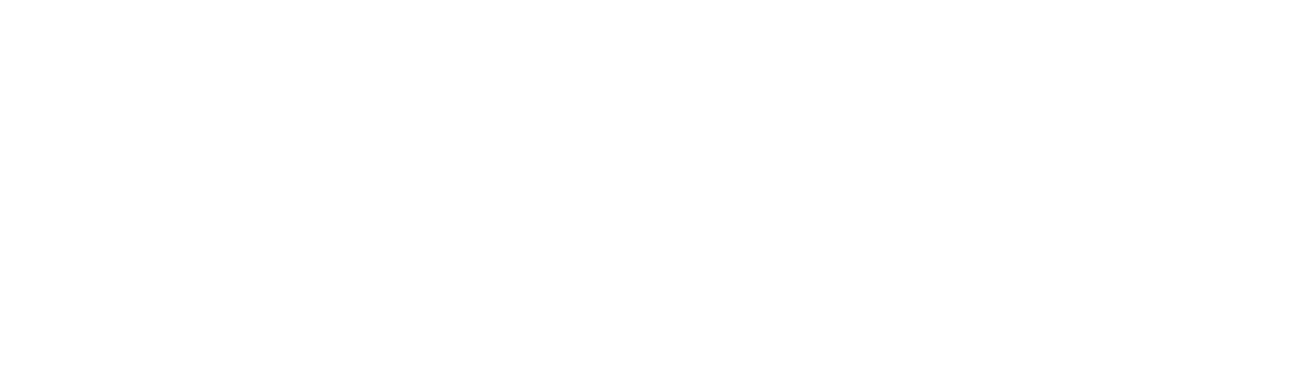 logo Playside wit