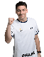 Martin