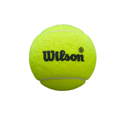 Wilson Premier Padel Speed Balls | Padel Balls afbeelding 3