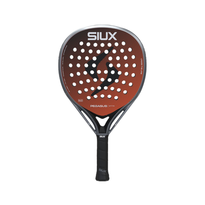 Siux Pegasus Elite 4 2026 afbeelding 2