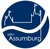 Logo HTV Assumburg (50x50)