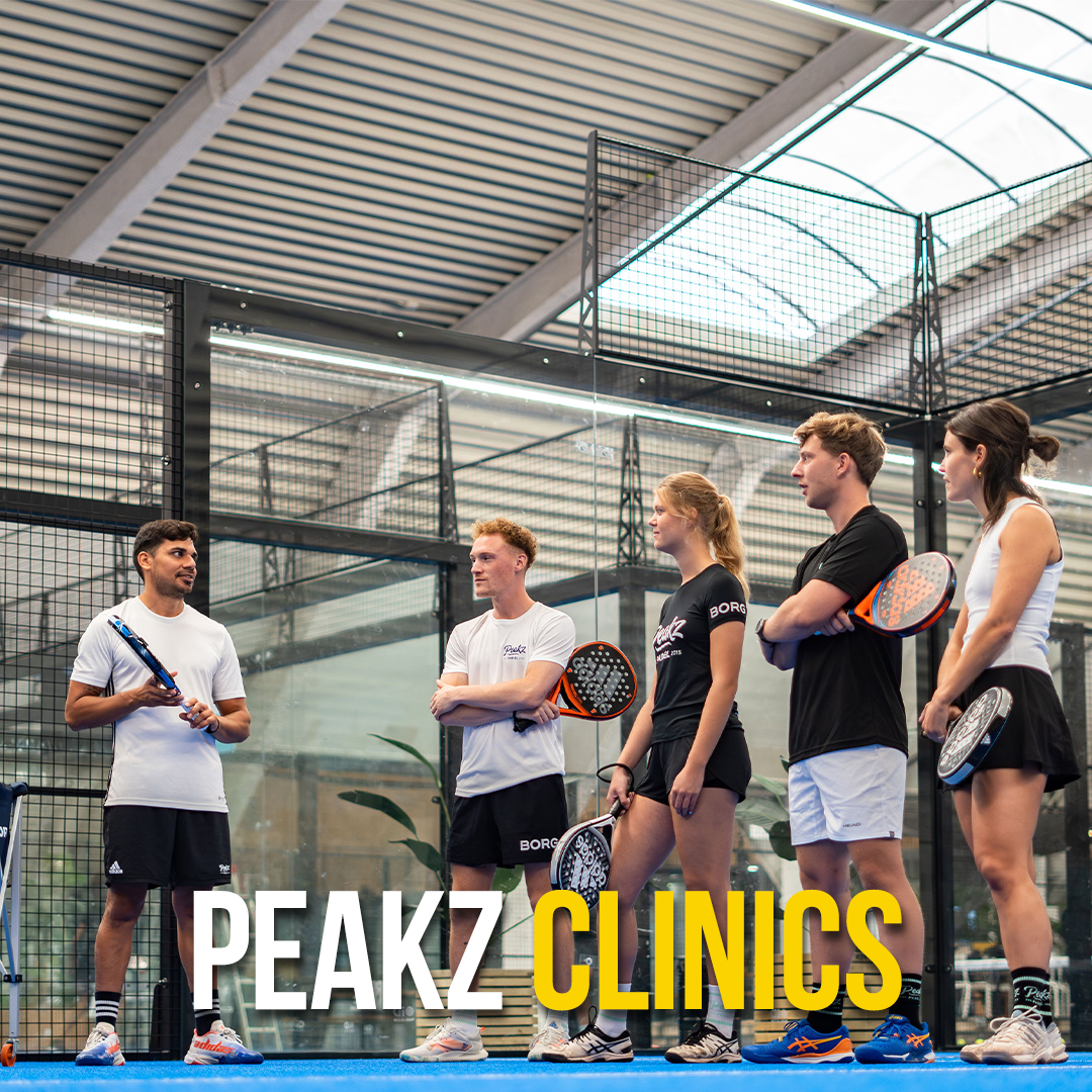 Logo 🎾Basics clinic - Starter - Rating 8-9