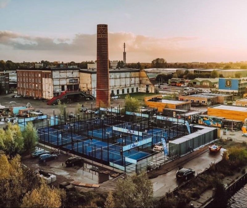 ☀️ Lentekriebels: King of the Court - STA