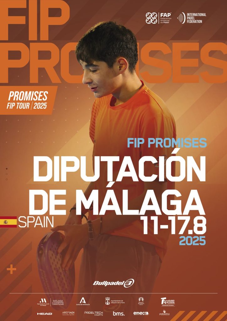 Logo FIP PROMISES DIPUTACIÓN DE MALAGA