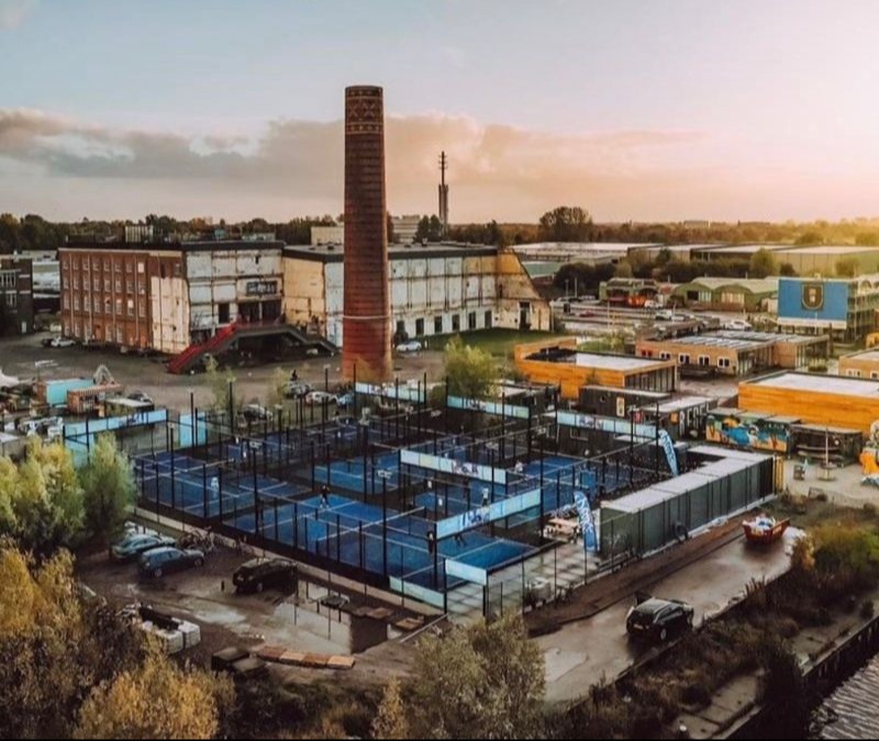 King of the Court | STA / INT 👑 Suikerterrein