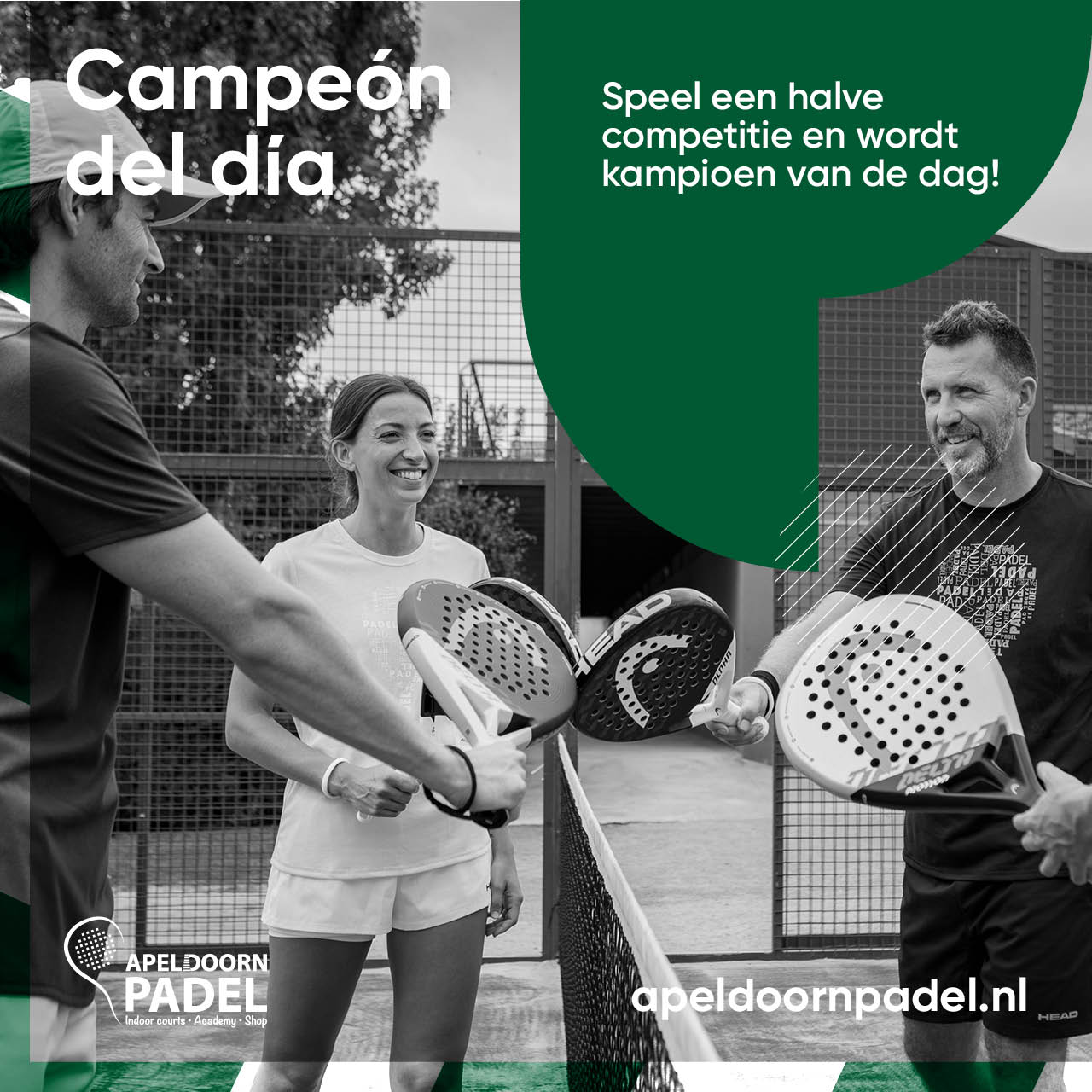 Logo Campeón del día niveau KNLTB 6/7