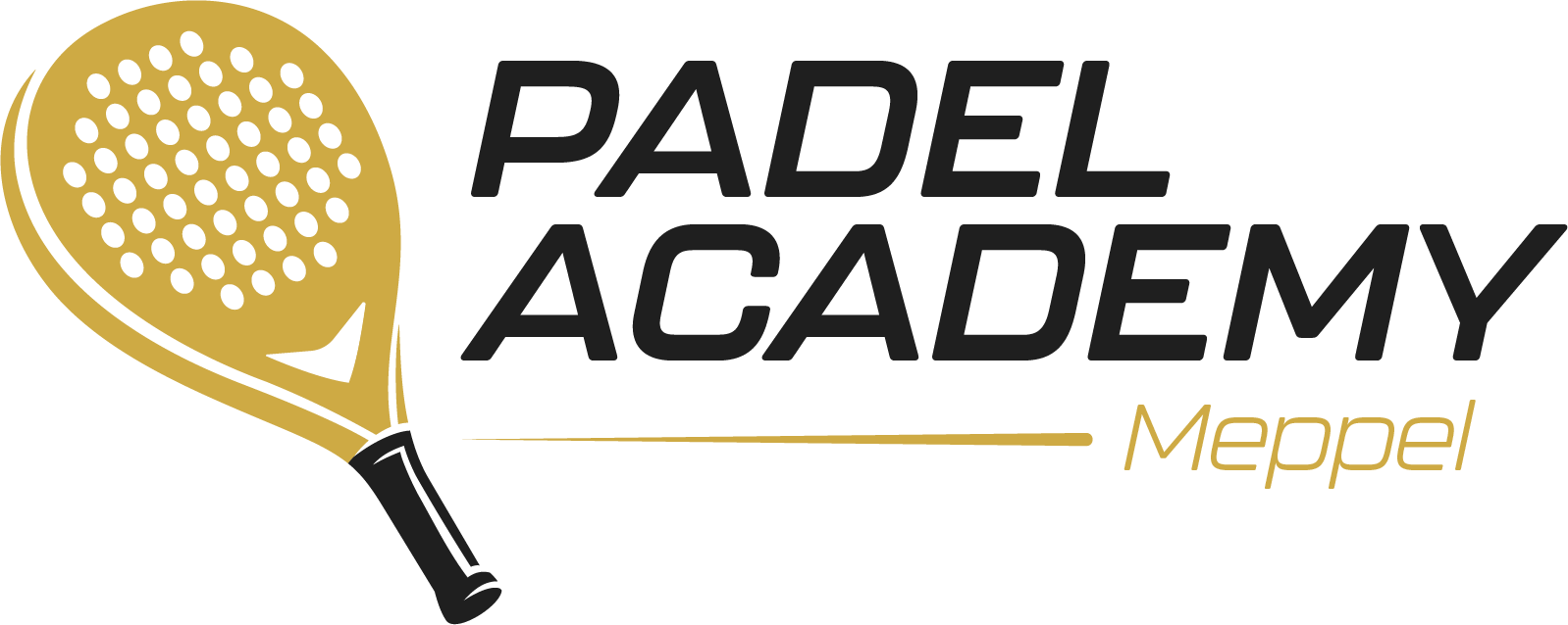 Logo Padel Academy Meppel