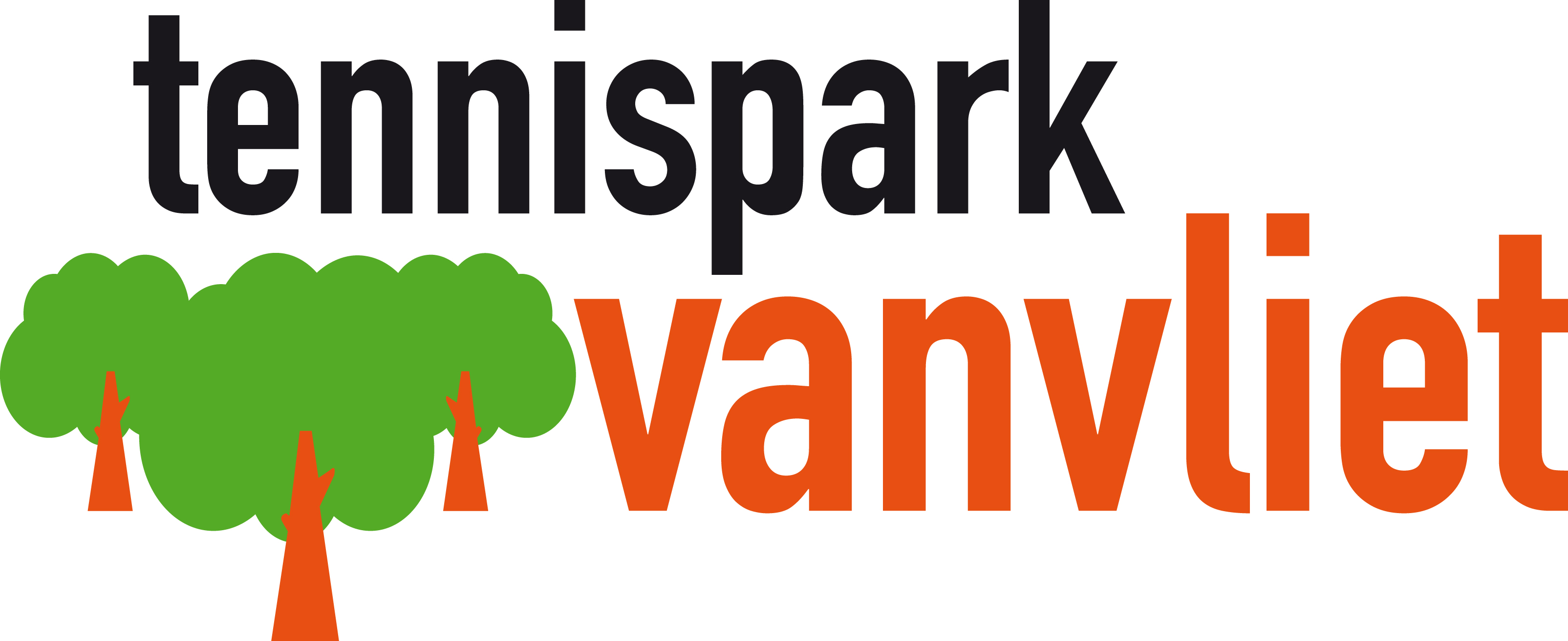 Logo T.V. Van Vliet