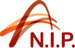 Logo RTC N.I.P.