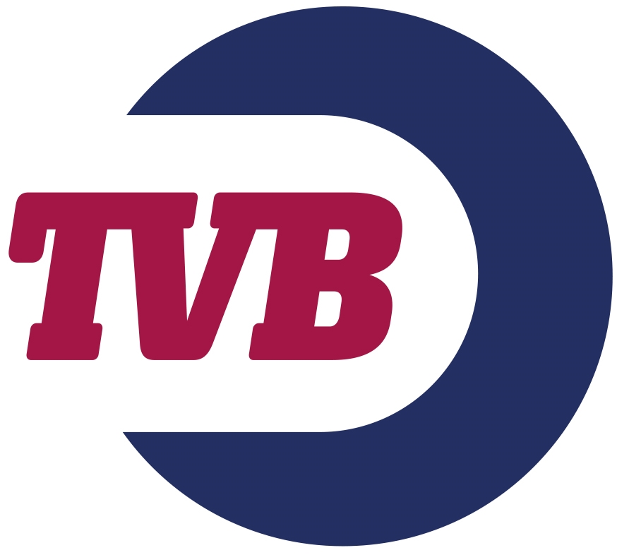 Logo TV Bergenshuizen