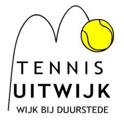 Logo TV Uitwijk